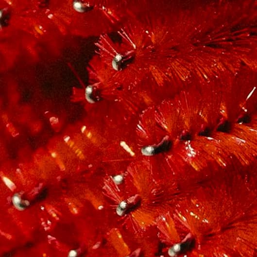 Back to Basics Package at Bellissima Lounge & Lash in Hagerman, ID